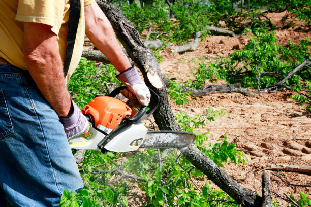 Best Commercial Tree Services  in Atwater, MN